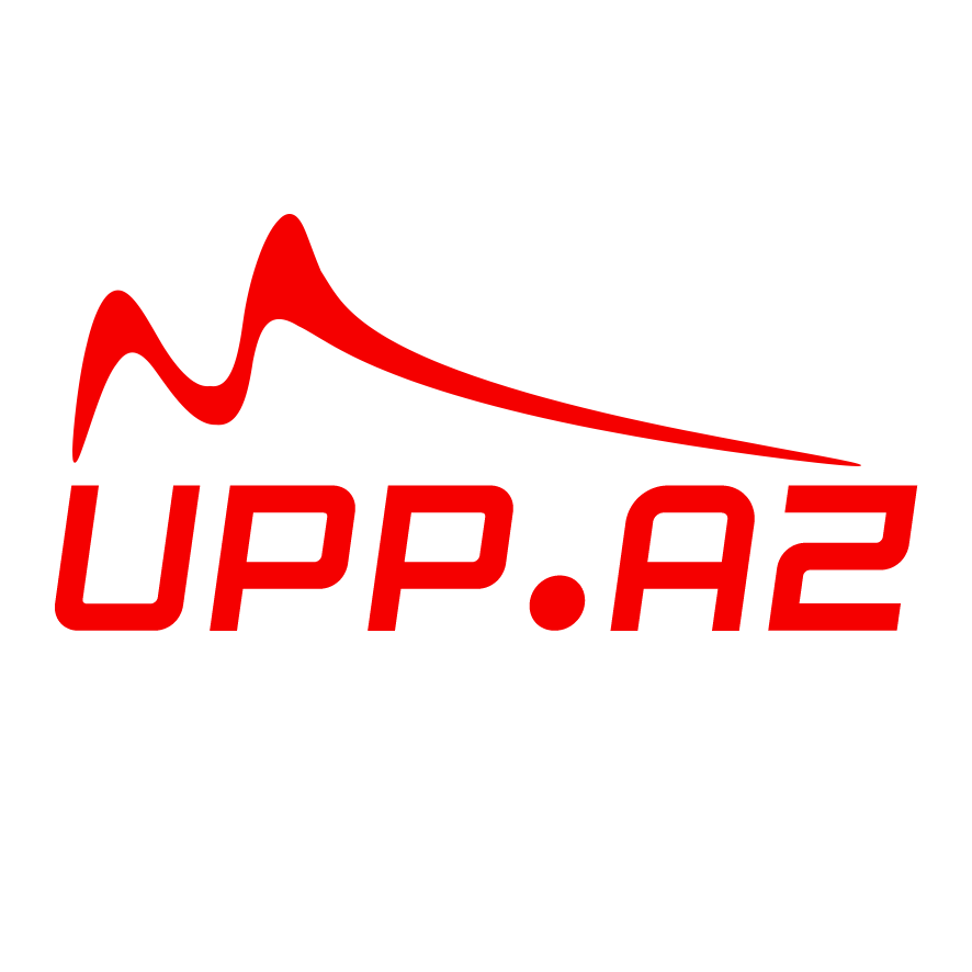 Veb saytların hazırlanması, Domain, Hosting satışı